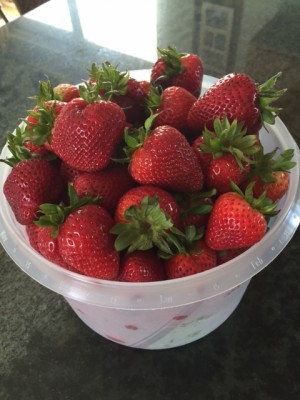 Strawberries.jpg